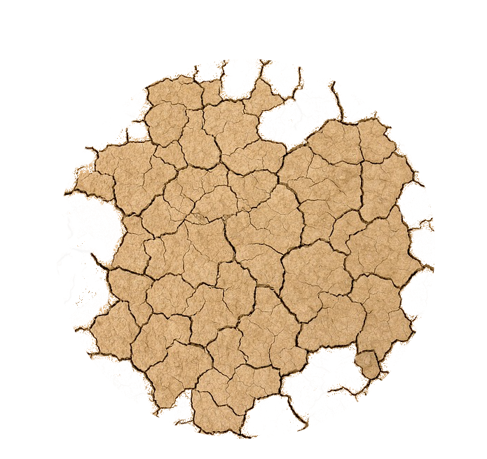 soil_moisture